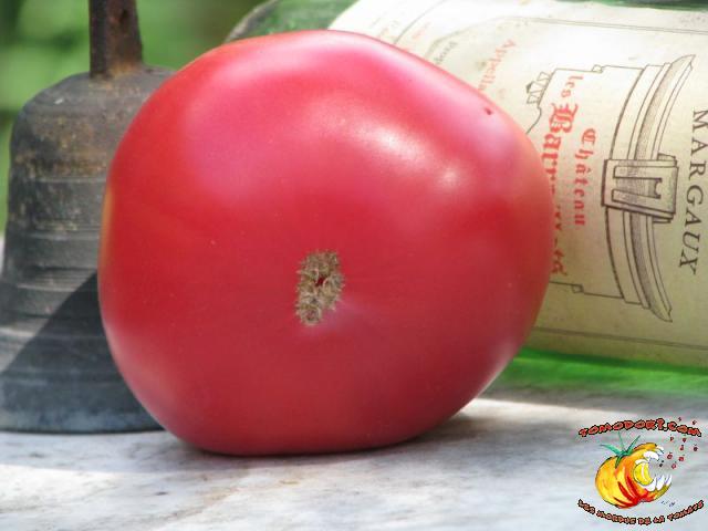 Tomate Château Rose