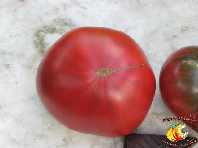 Tomate Cherokee Chocolate