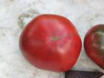 Tomate Cherokee Chocolate