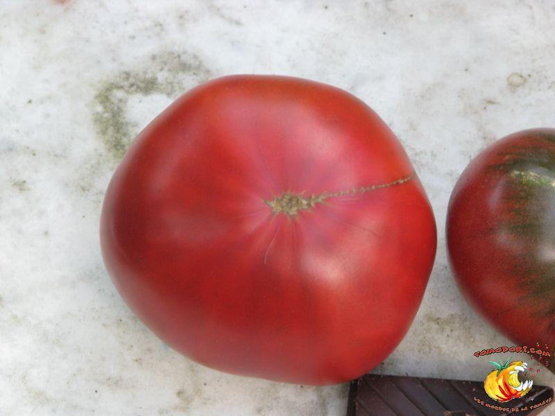 Tomate Cherokee Chocolate
