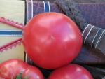 Tomate Cherokee Purple