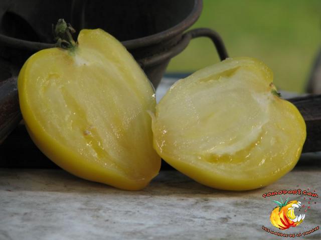 Tomate Coeur de Boeuf Blanc