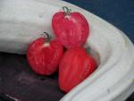 Tomate Coeur de Boeuf Reif Red