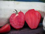 Tomate Coeur de Boeuf Reif Red