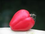 Tomate Coeur de Boeuf Reif Red