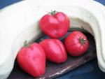 Tomate Coeur de Boeuf Reif Red