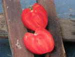 Tomate Coeur de Boeuf Slankard