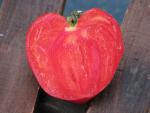 Tomate Coeur de Boeuf Slankard