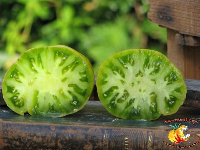 Tomate Dorothy's Green