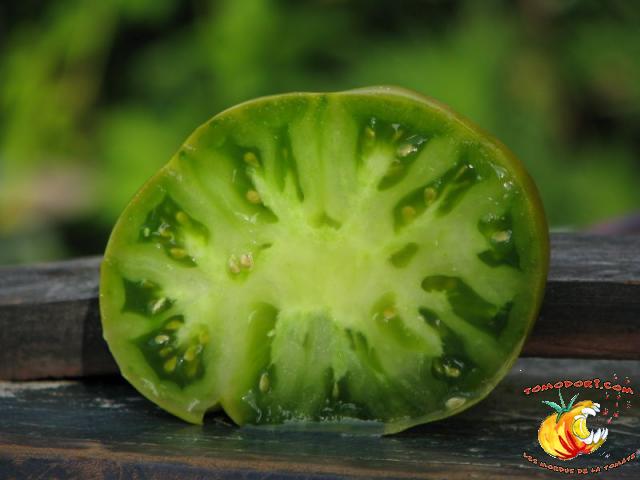 Tomate Dorothy's Green