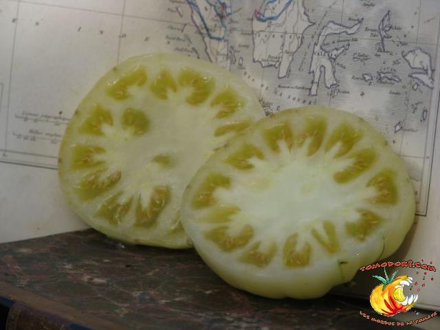 Tomate Fantôme du Laos