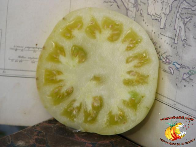 Tomate Fantôme du Laos