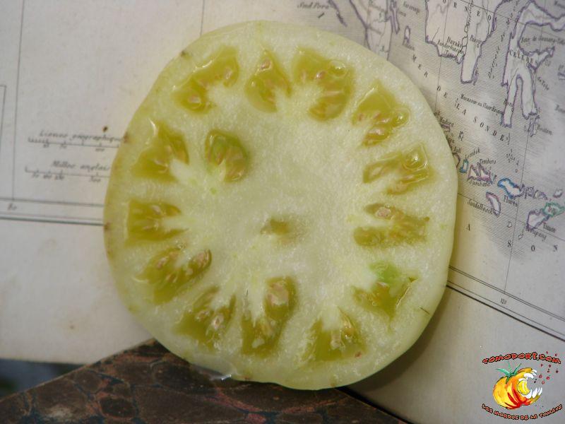 Tomate Fantôme du Laos