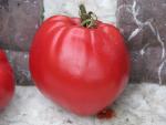 Tomate Grandi della signora