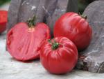 Tomate Grandi della signora