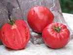 Tomate Grandi della signora