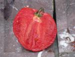 Tomate Grandi della signora