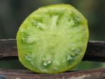 Tomate Green Pineapple
