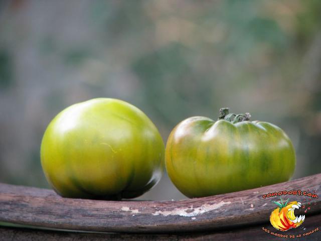 Tomate Green Pineapple