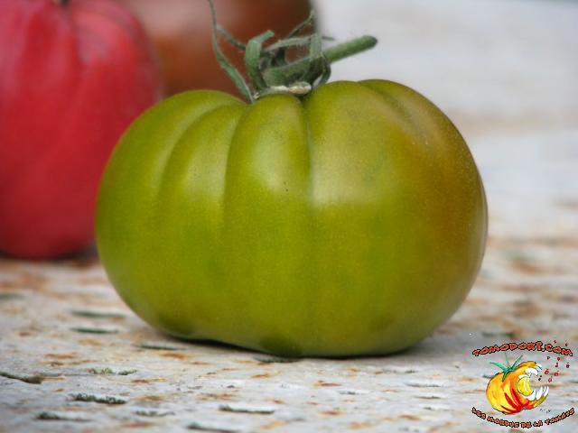 Tomate Green Velvet