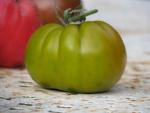 Tomate Green Velvet