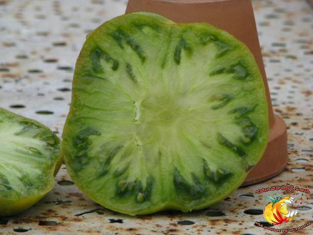 Tomate Grub's Mystery Green