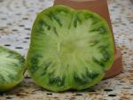 Tomate Grub's Mystery Green