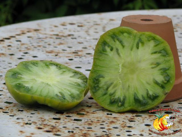 Tomate Grub's Mystery Green