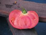 Tomate Heart Shaped Brandywine