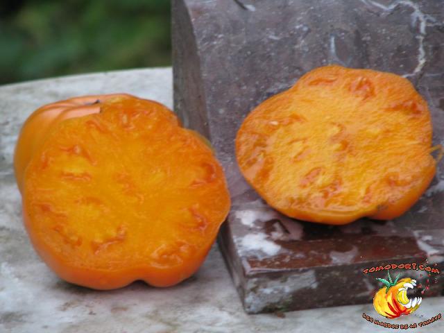 Tomate Kentucky Beefsteak