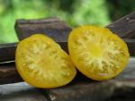 Tomate Limmony