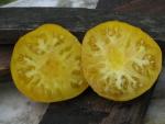 Tomate Limmony