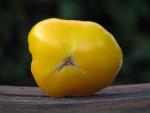 Tomate Limmony