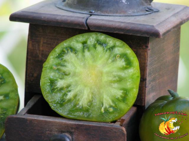 Tomate Maurine Verte