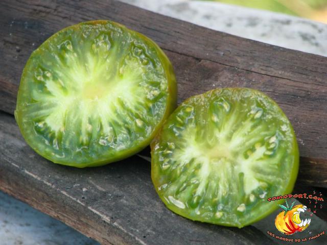 Tomate Maurine Verte