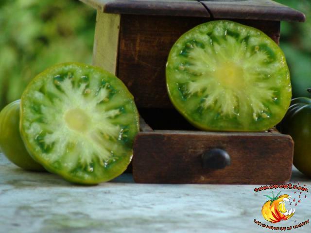 Tomate Maurine Verte