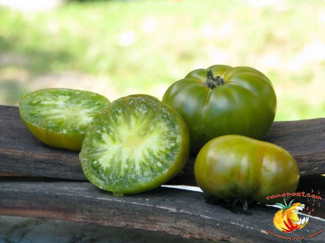 Tomate Maurine Verte