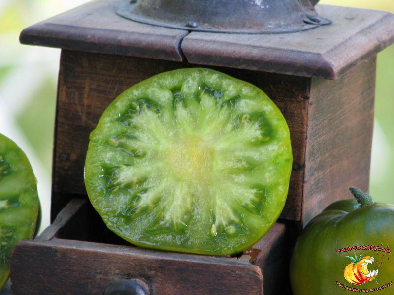 Tomate Maurine Verte