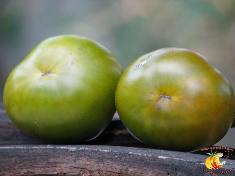 Tomate Maurine Verte