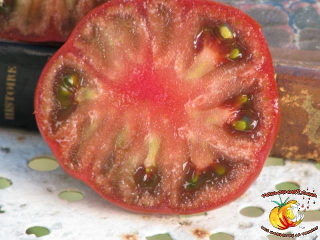 Tomate Mr Brown