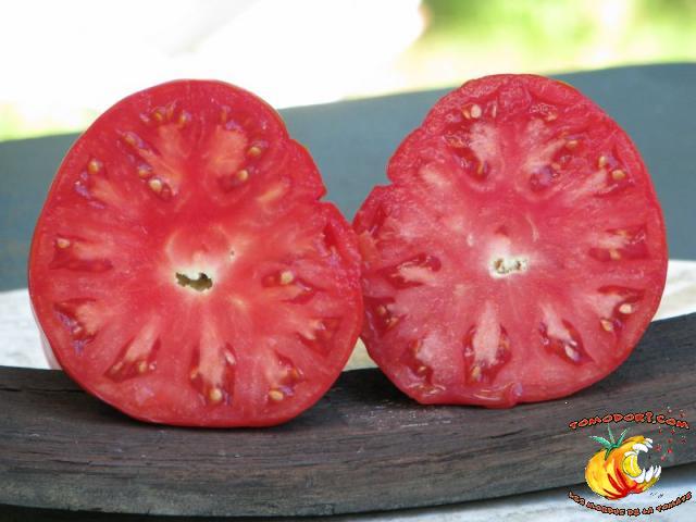 Tomate Omar's Lebanese