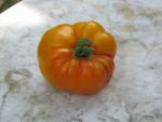 Tomate Pamplemousse du Grand Père