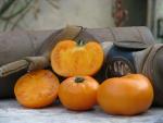 Tomate Persimmon