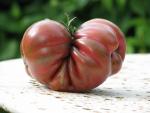 Tomate Pink Berkeley Tie Die