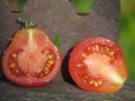 Tomate Poire Rose