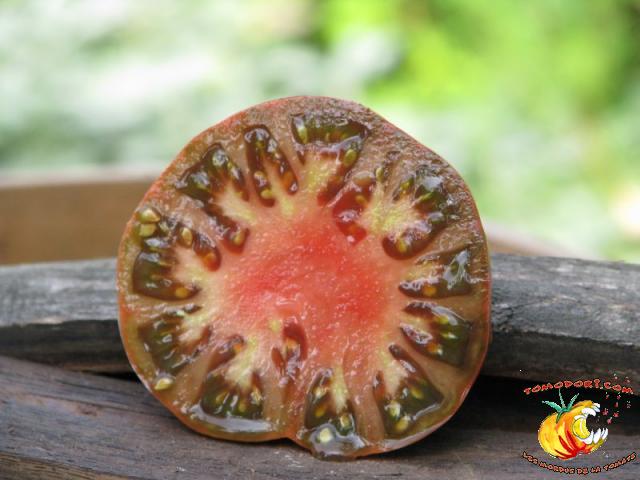 Tomate Purple Passion