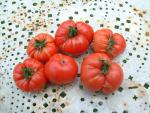 Tomate Sandul Moldovan