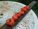 Tomate Sandul Moldovan