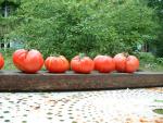 Tomate Sandul Moldovan