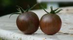 Tomate Black Cherry